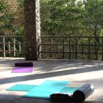DomMorningYoga