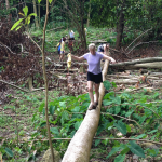 logbalance